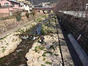 日差しは穏やかな朝でした