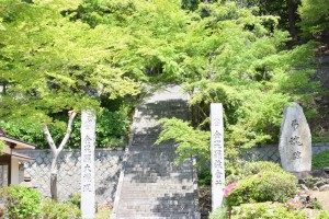 緑あざやか金毘羅門