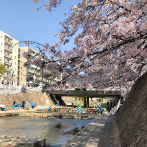 満開の桜の下、たくさんの皆様が参加