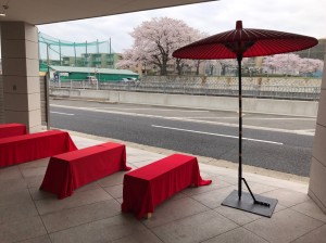 神東茶屋、桜が美しい 